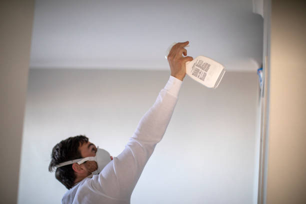 Best Insurance-Related Mold Remediation in Villa Rica, GA