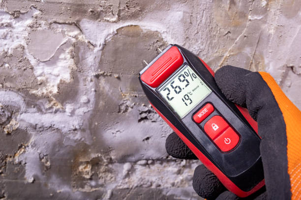 Best Residential Mold Remediation in Villa Rica, GA