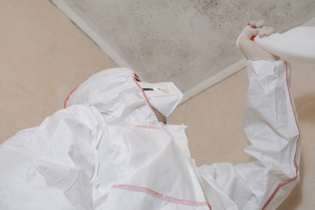 Best Preventive Mold Services in Villa Rica, GA